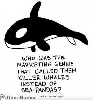 Genius marketing to who called them Killer Whales