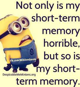 Despicable Me Funny Quotes