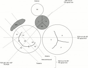 365 Days Of Design Just A Place To Put Some Fun Work Page Picture
