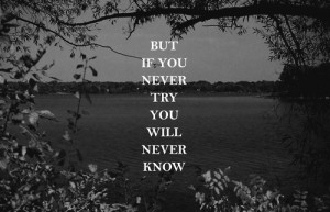 But If You Never Try You Will Never Know.