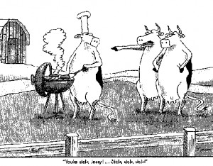 Far Side comic featuring a cow barbecuing steaks and being accosted by ...