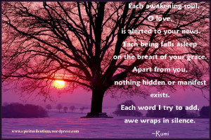 ... old-tree-with-rumi-quote-about-love-rumi-quotes-about-true-love