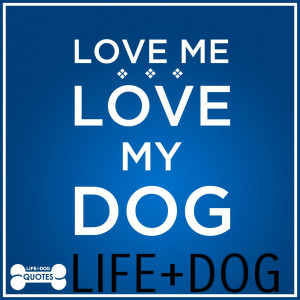 Quotable Quotes From Life Dog