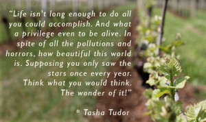 Found on pocketpause.com