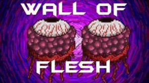 Terraria Wall Of Flesh Real Life