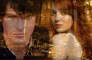 The Vampire Diaries Books Bonnie McCullough & Damon Salvatore