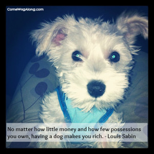 ... few possessions you own, having a dog makes you rich