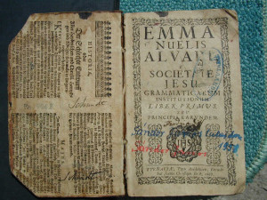 ... creamy cajun sauce recipe toket sma lagi mandi harptabs cajun