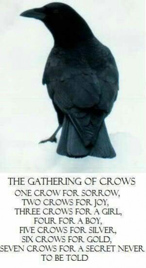 The Gathering of the Crows