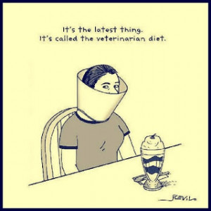 Funny Vet Diet Joke Cartoon Picture Image