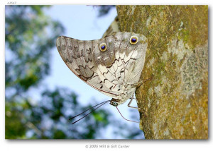 Sayings About Revenge, Good Quotes About Revenge, Revenge Quotes for ...