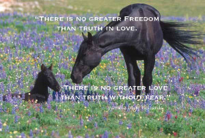 Horse mother and foal pamela quote