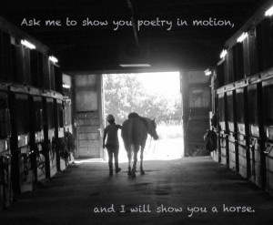 horse quotes