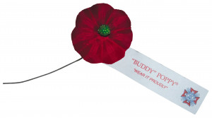 Veterans Day Poppy