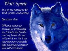 wolf spirit more quotes animal spirit blue wolf animal guide wolves ...