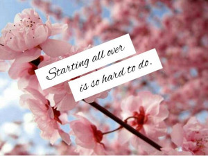Starting over quotes. Cherry blossom.