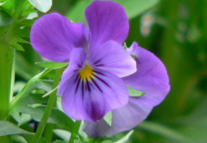 Funny Quotes Contact Us DMCA Notice