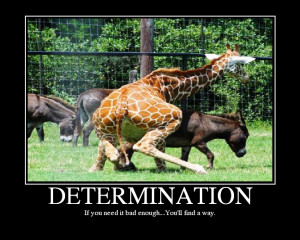 DETERMINATION