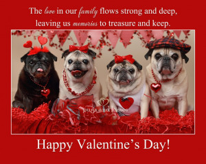 Whole Pug Gang Valentine's Day 2013 by Pugs and Kisses