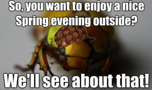 Scumbag June Bugs, they are bad this year. my-funny-meme-s-and-demo ...