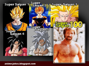 dragonball-z-son-goku-super-saiyan-ultimate--form-chuck-norris-anime ...