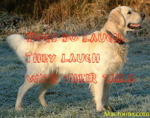 The Love Of A Canine – Inspirational Quotes About Dogs