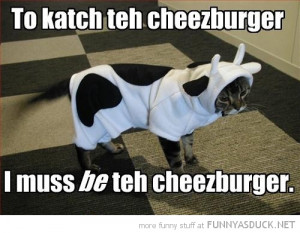 cat lolcat animal cow costume catch be cheeseburger funny pics ...
