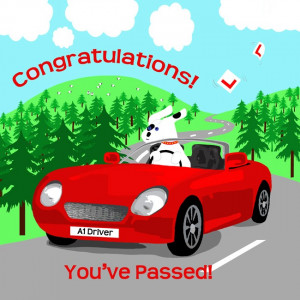 Double click on above image to view full picture