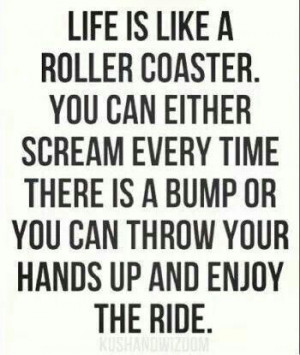 Life is a Roller coaster