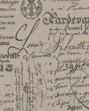 Script document fossil