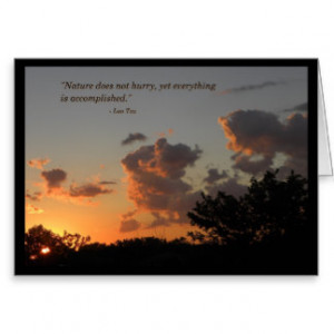 zen gifts shirts posters art and more gift ideas