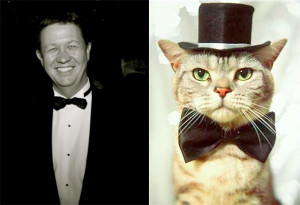 Black tie cat and black tie David Cunliffe