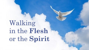 Differences Between Walking in the Flesh and Walking in the Spirit