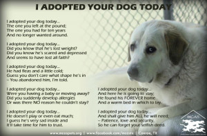 Pet Adoption Poem