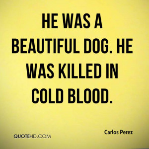 He Was A Beautiful Dog. He Was Killed In Cold Blood.