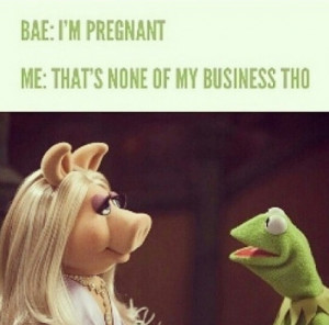 Photos / Kermit the Frog inspires funny Instagram memes