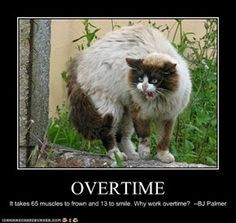 OVERTIME It takes 65 muscles to frown and 13 to smile. Why work ...
