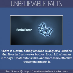 There is a brain-eating amoeba (Naegleria Fowleri) that lives in fresh ...