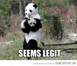 Funny photos funny baby Panda zoo costume