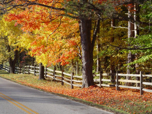 ... best time to tour the fall foliage in Ohio. Here are some great places