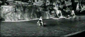 Marcello, come here! Hurry up!