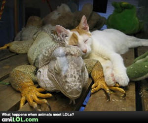 These two have nothing in common besides taking naps, and that suits ...