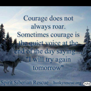 Funny Quotes About Courage