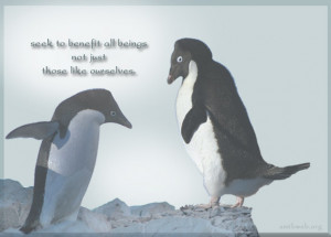 Seek to benefit all beings, kindness quotes