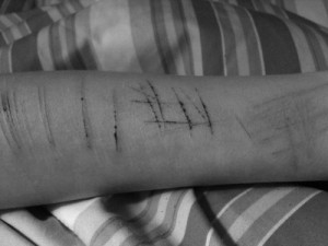 Added: July 26, 2013 | Image size: 500 x 375 px | More from: schwarz ...