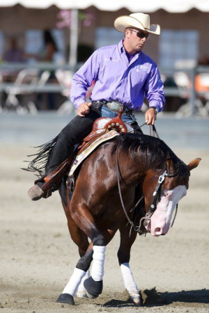 Details about NEW ANDREA FAPPANI REINING 2 yr old Horse Training