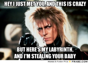 frabz-hey-i-just-met-you-and-this-is-crazy-but-heres-my-labyrinth-and ...