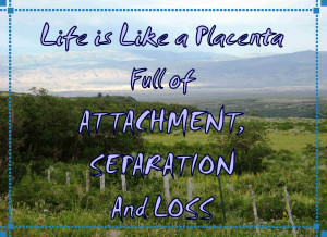 Life is like a placenta . . .