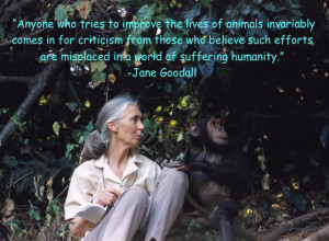 What a precious woman Jane Goodall is!