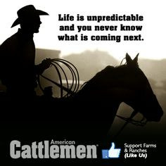 Cattlemen Quotes